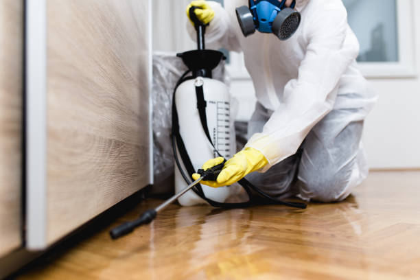Best Best Pest Control Companies  in Dorr, MI