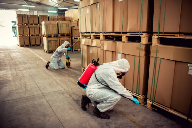 Best Pest Control Near Me in Dorr, MI