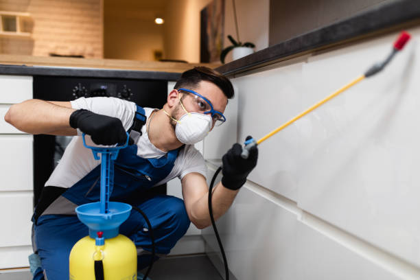 Best Best Pest Control Near Me  in Dorr, MI