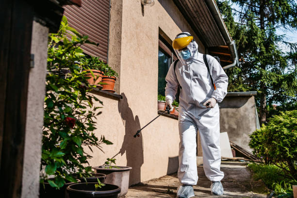 Best Cockroach Control Services  in Dorr, MI