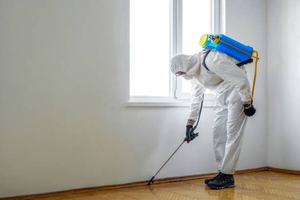 Best Best Pest Control Companies  in Dorr, MI