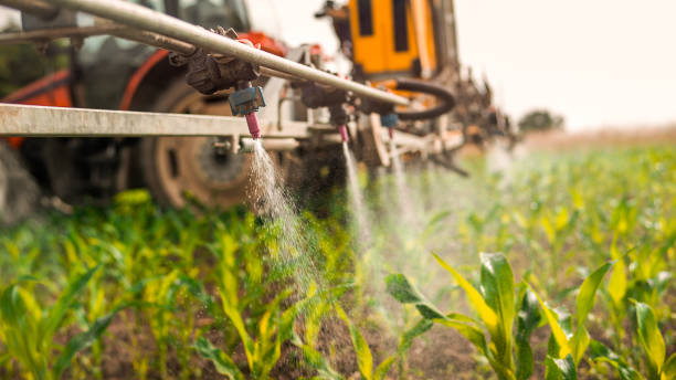 Best Local Pest Control Services  in Dorr, MI